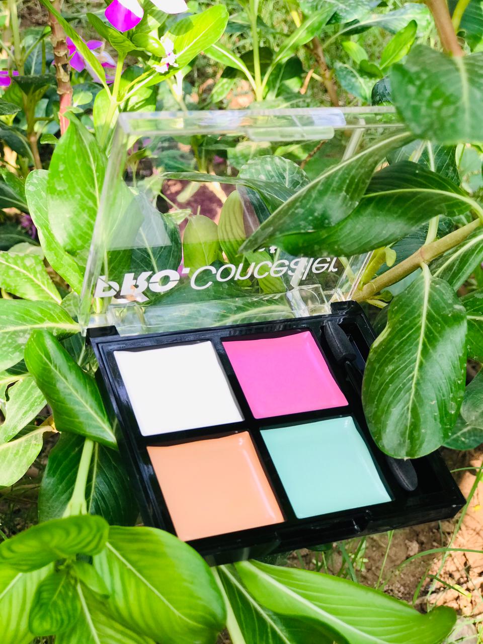 Str pro concealer , contour and corrector palette